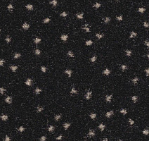 Ковролин Balsan Constellation 990 фото 1 | FLOORDEALER