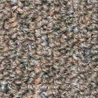 Ковролин Salisbury Beaulieu of America 045 фото 1 | FLOORDEALER