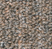 Ковролин Salisbury Beaulieu of America 045 фото 1 | FLOORDEALER