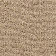 Ковролин Balsan Residentiel 736 фото 1 | FLOORDEALER