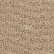 Ковролин Balsan Residentiel 736 фото 1 | FLOORDEALER