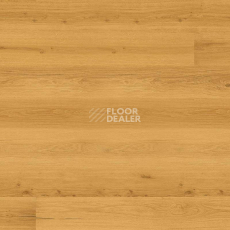Пробковое покрытие Wood Essence D8F7001  Golden Prime Oak фото 1 | FLOORDEALER