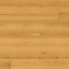 Wood Essence D8F7001  Golden Prime Oak фото 1 | FLOORDEALER
