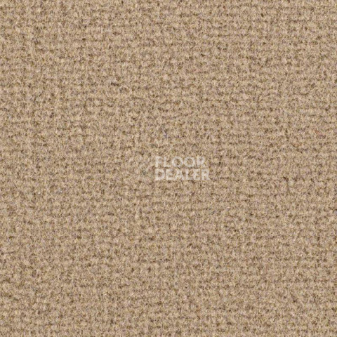 Ковролин Balsan Residentiel 736 фото 1 | FLOORDEALER