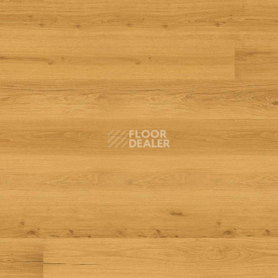 Пробковое покрытие Wood Essence D8F7001  Golden Prime Oak фото 1 | FLOORDEALER