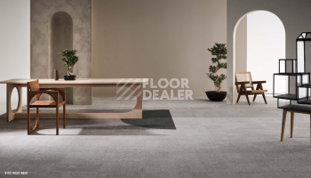Desso AirMaster Reflection ac 58 9850 фото 3 | FLOORDEALER