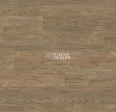 Ламинат Haro Tritty 200 Aqua Gran Via 4V Вяз Варио 544814 фото 1 | FLOORDEALER