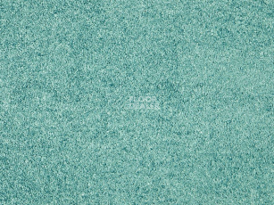 Ковролин ITC Carpe Diem Carpe Diem 073 фото 1 | FLOORDEALER