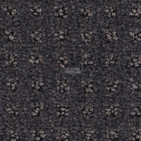 Balsan Territoires Atrium 981 фото 2 | FLOORDEALER