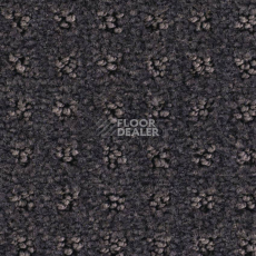 Balsan Territoires Atrium 981 фото 2 | FLOORDEALER