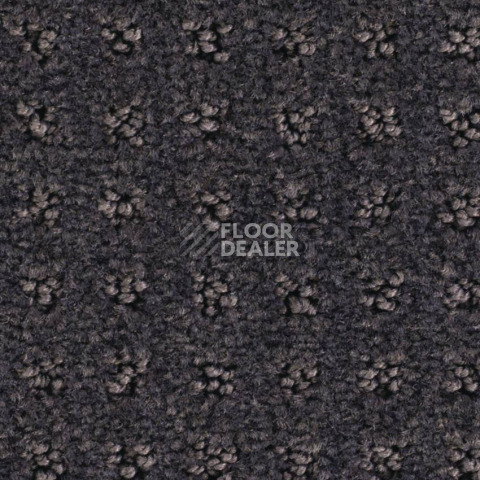 Balsan Territoires Atrium 981 фото 2 | FLOORDEALER