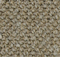 Ковролин Carpet Concept Eco Cut 40640 фото 1 | FLOORDEALER