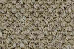 Ковролин Carpet Concept Eco Cut 40640 фото  | FLOORDEALER