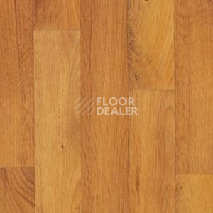 Линолеум Juteks Mega MARRON 3040 фото 1 | FLOORDEALER