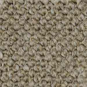 Ковролин Carpet Concept Eco Cut 40640 фото ##numphoto## | FLOORDEALER