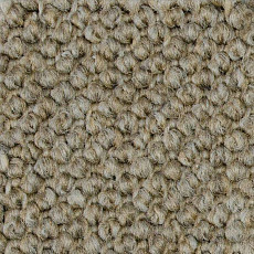 Ковролин Carpet Concept Eco Cut 40640 фото 1 | FLOORDEALER