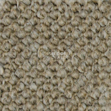 Ковролин Carpet Concept Eco Cut 40640 фото 1 | FLOORDEALER