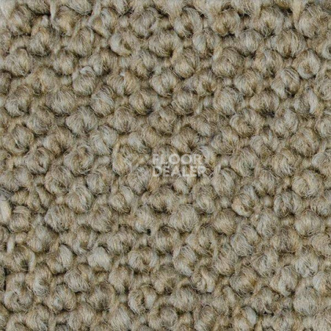 Ковролин Carpet Concept Eco Cut 40640 фото 1 | FLOORDEALER