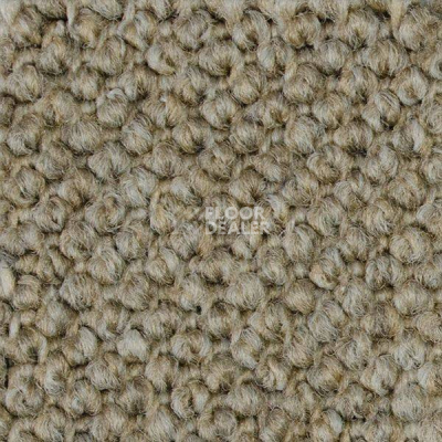 Ковролин Carpet Concept Eco Cut 40640 фото 1 | FLOORDEALER