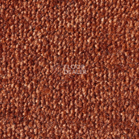 Ковролин Lano Sense Pure 770 фото 1 | FLOORDEALER