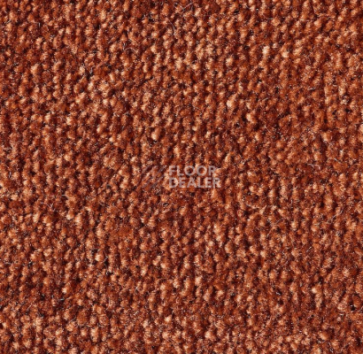 Ковролин Lano Sense Pure 770 фото 1 | FLOORDEALER