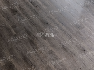 Norland Sigrid  LVT 2мм Baggy 1003-7 фото 2 | FLOORDEALER