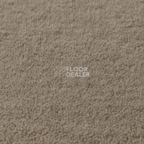 Ковролин Jacaranda Carpets Sambar Smoke фото 1 | FLOORDEALER