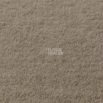 Ковролин Jacaranda Carpets Sambar Smoke фото 1 | FLOORDEALER