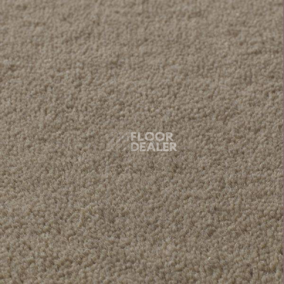 Ковролин Jacaranda Carpets Sambar Smoke фото 1 | FLOORDEALER