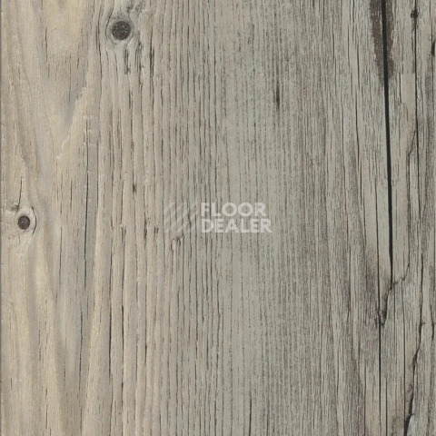 Кварцвиниловые полы AW Invictus Maximus Plank 2.5 мм Norwegian Wood Fjord фото 1 | FLOORDEALER
