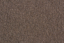 Ковровая плитка Betap Baltic 70 фото 1 | FLOORDEALER