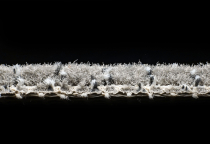 AW Magma 95 фото 4 | FLOORDEALER