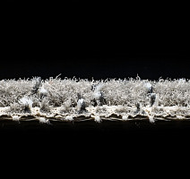 AW Magma 95 фото 4 | FLOORDEALER