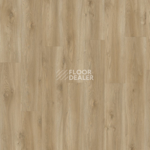 Moduleo Next дерево Torre Oak 847 фото 3 | FLOORDEALER
