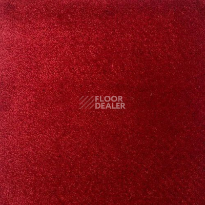 Ковролин Haima Andorra 5023 фото 1 | FLOORDEALER