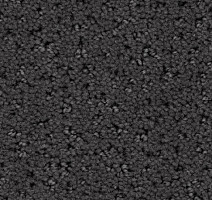 Ковролин Balsan Egerie 960 фото 1 | FLOORDEALER