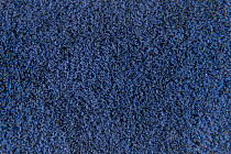 Flotex Colour s 290015 Calgary Azure фото 2 | FLOORDEALER