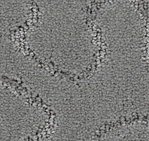 Ковролин Balsan Mythique 920 фото 1 | FLOORDEALER