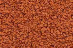 Ковролин Balsan Les First Les First 450 фото  | FLOORDEALER