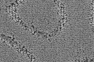 Ковролин Balsan Mythique 920 фото  | FLOORDEALER