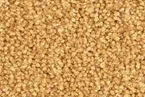 Ковролин Balsan Bolero roll 340 фото  | FLOORDEALER