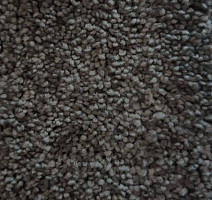 Ковролин Condor Carpets Dynasty 76 фото 1 | FLOORDEALER