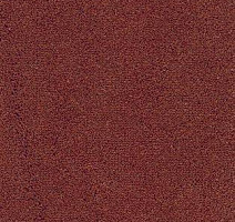 Ковролин AW Emerald 80 фото 1 | FLOORDEALER