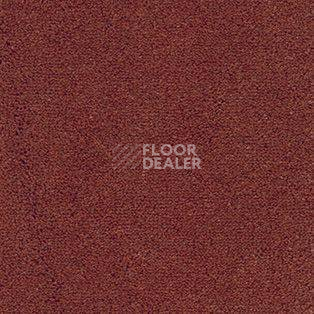 Ковролин AW Emerald 80 фото 1 | FLOORDEALER