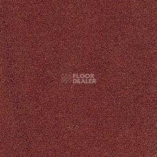 Ковролин AW Emerald 80 фото 1 | FLOORDEALER