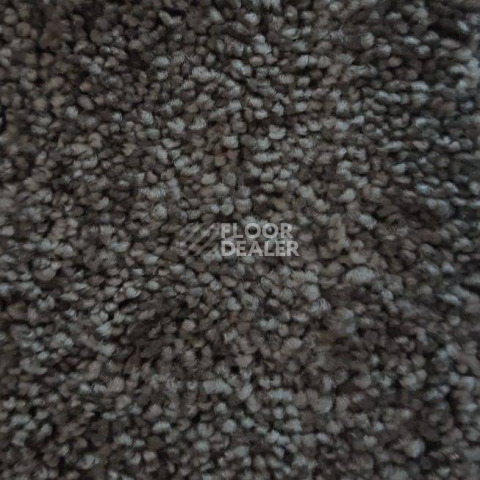 Ковролин Condor Carpets Dynasty 76 фото 1 | FLOORDEALER