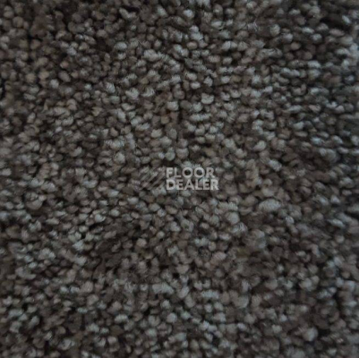 Ковролин Condor Carpets Dynasty 76 фото 1 | FLOORDEALER
