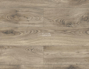 Kronopol Platinium Testa AQUA BLOCK 8mm Kronopol Platinium Testa Aqua Block 24h Дуб Аладдин D3309 фото 1 | FLOORDEALER