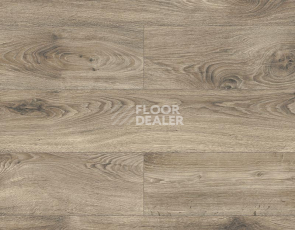 Ламинат Kronopol Platinium Testa AQUA BLOCK 8mm Kronopol Platinium Testa Aqua Block 24h Дуб Аладдин D3309 фото 1 | FLOORDEALER