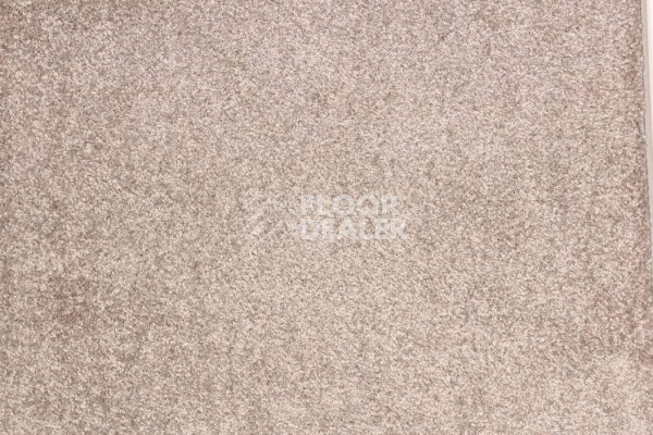 Ковролин Betap Tardi 76 фото 1 | FLOORDEALER